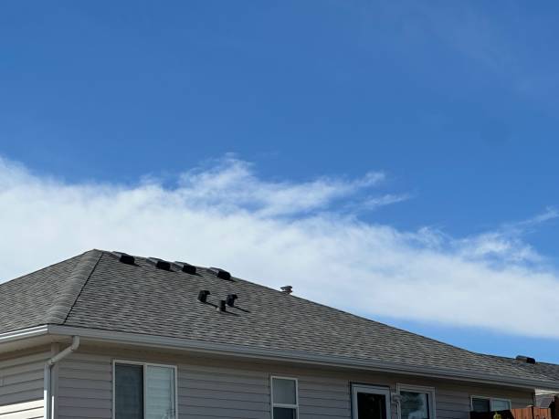 Best Gutter Installation and Repair  in New Franklin, OH